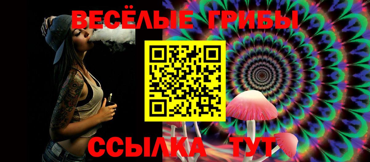 Псилоцибиновые грибы GOLDEN TEACHER  Вход с VPN  Симферополь 